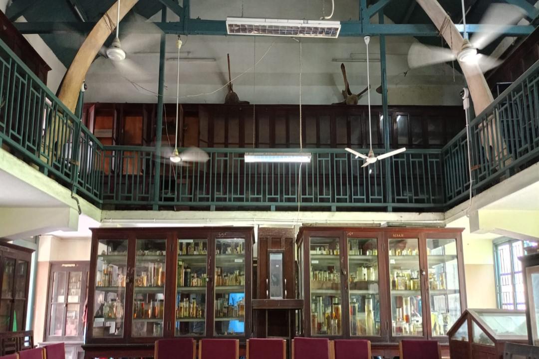 Biology Muesum Visit