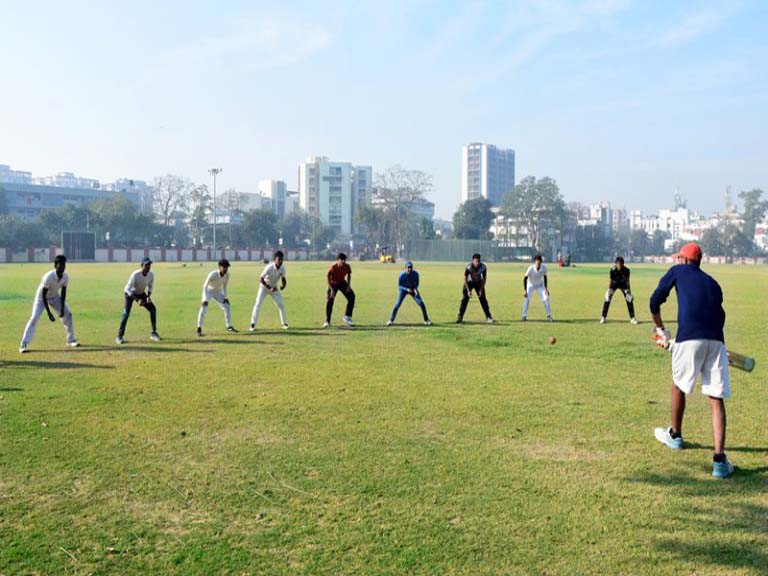 Cricket